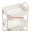 Haleigh 27.5cm H x 27.5cm W Utility Cart with Wheels-1164253165
