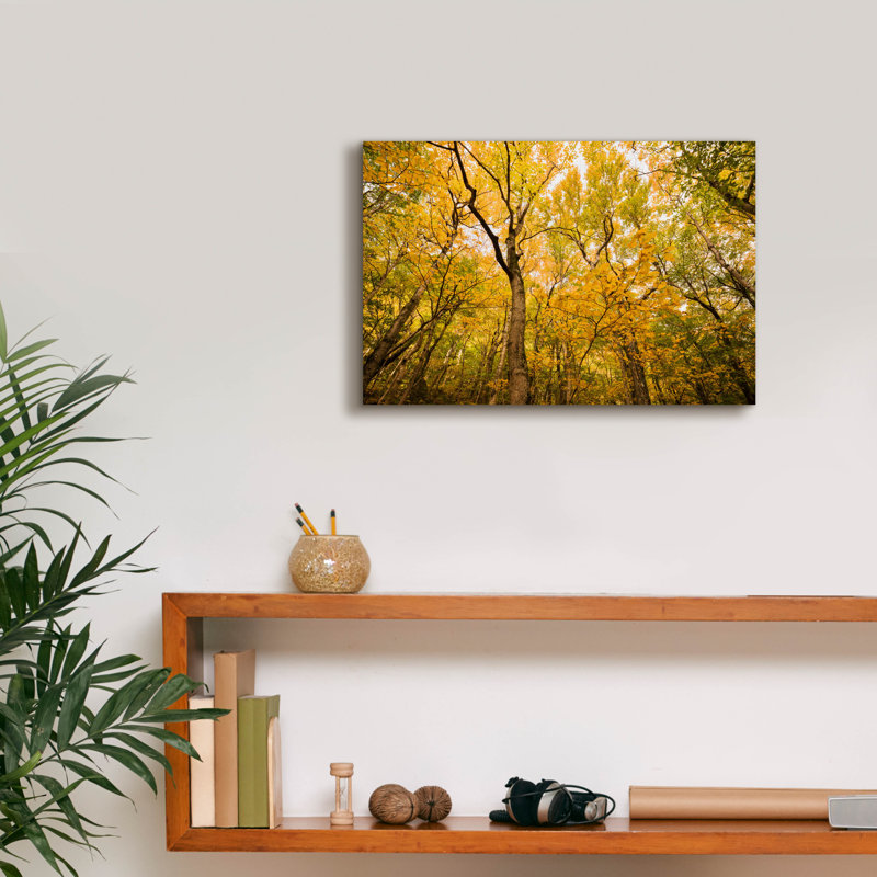 «Smugglers Notch» par Brandon Wong, art mural sur toile, H 12 po x l 18 po x P 0,75 po