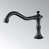 Oil Rubbed Bronze