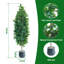 150cm Plant-1447866085