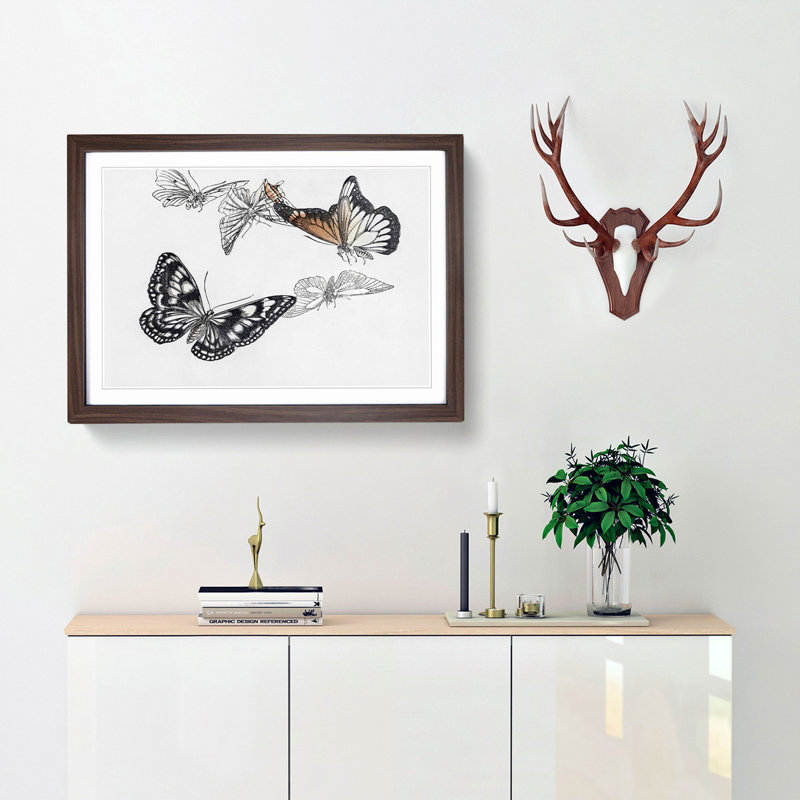 Butterfly Illustration by Morimoto Toko - Picture Frame Graphic Art Print, Walnut Framed, 27cm H x 36cm W x 2cm D