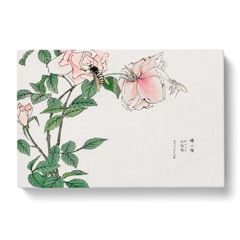 Bee Upon A Pink Flower by Morimoto Toko - Wrapped Canvas, 50cm H x 76cm W x 3cm D