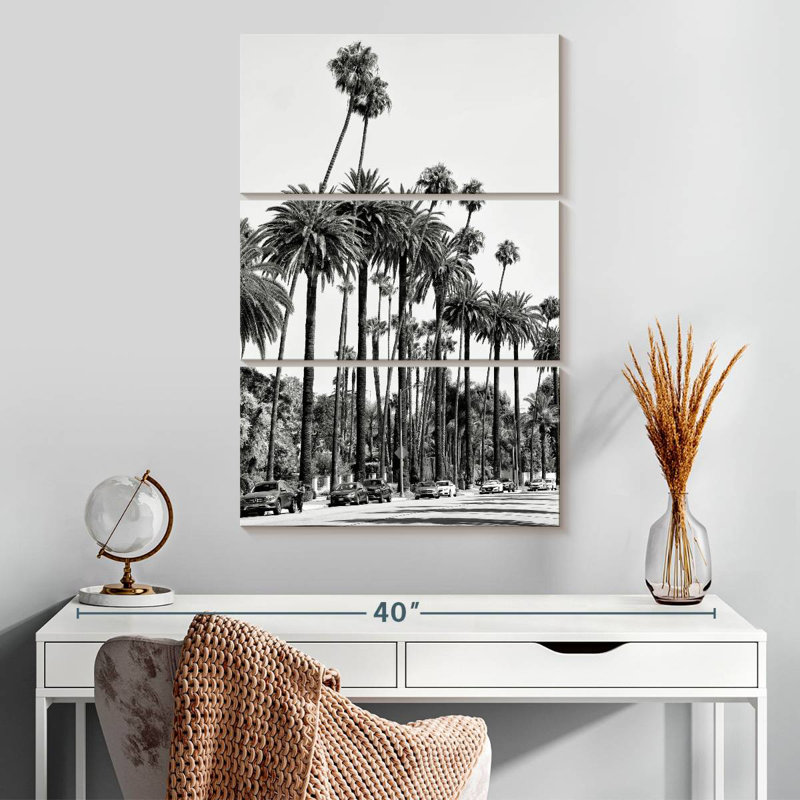 Palmiers de Sireci, Californie, Californie, H 32 po x l 20 po