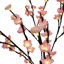Bonsaïs illuminés et branches-22104822