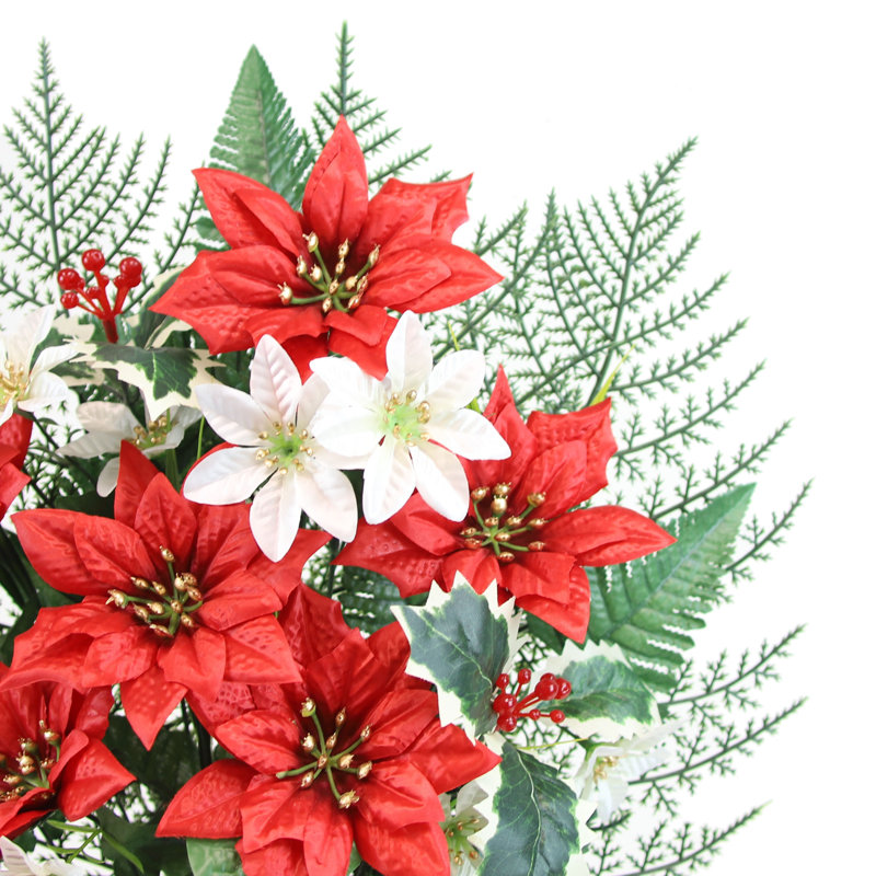 Poinsettia de Noël dans un vase