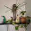 Photos des clients 1 de 1