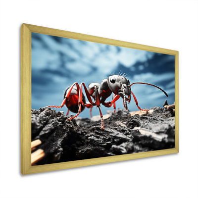 Ant Industrious I " Ant Industrious I "