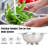 Gustave Stainless Steel Colander