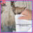 Two Gazelles In Grass Comforter-126737127