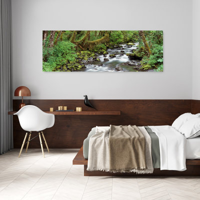 Creek Olympic National Park Wa Usa Peaceful Abstract Contemporary Moss Forest Landscape Wall Art