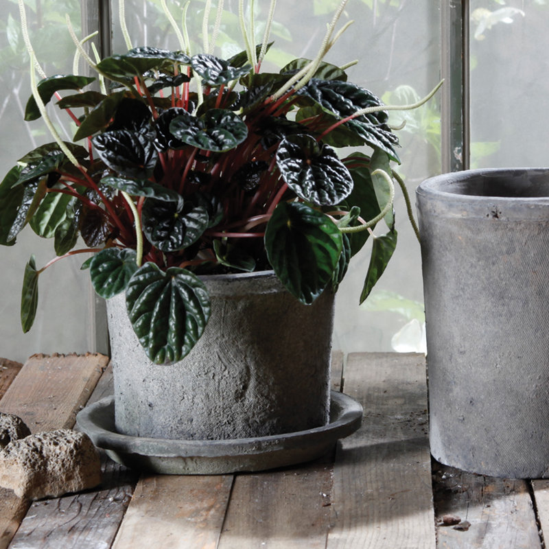 Almanett Terracotta Cylinder Pot Planter, 4.75" H x 6.25" W x 6.25" D, Moss Gray