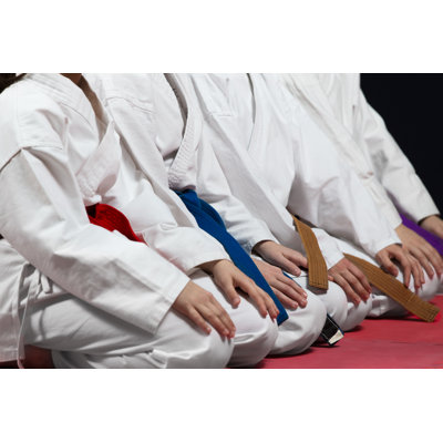 Karate Position par Fakezzz - Photographie sur toile tendue