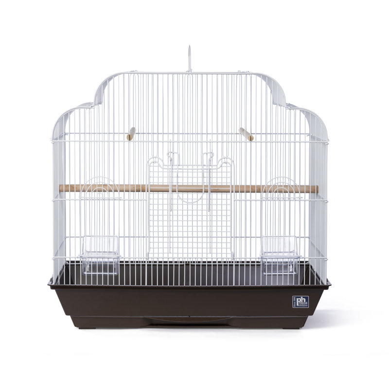 Cinamon 21'' Steel Victorian Top Table Top Bird Cage with Perch