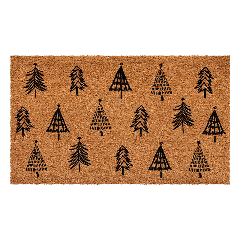 Robblee Coir Indoor / Outdoor Doormat, 30" W x 48" L