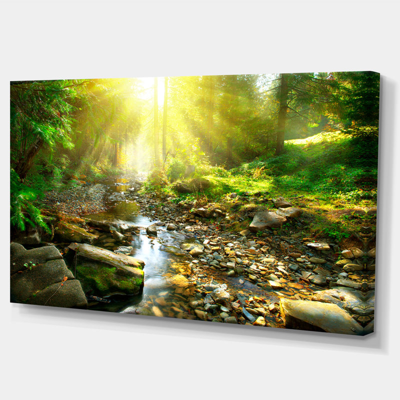 Mountain Stream in Forest Landscape Canvas Print