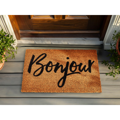 Regelindis Non-Slip Indoor Doormat