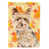 Yorkshire-terrier Yorkie sélectionné