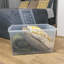 Rebrilliant Plastic Decorative Bin-1970483862