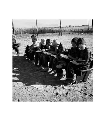 " Boys Read School Books " by Dorothea Lange