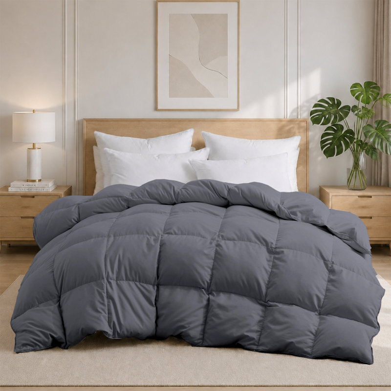 All Season Goose Feather Fiber Comforter Lightweight Duvet Insert, Full/Queen, Dark Gray, Full/Queen