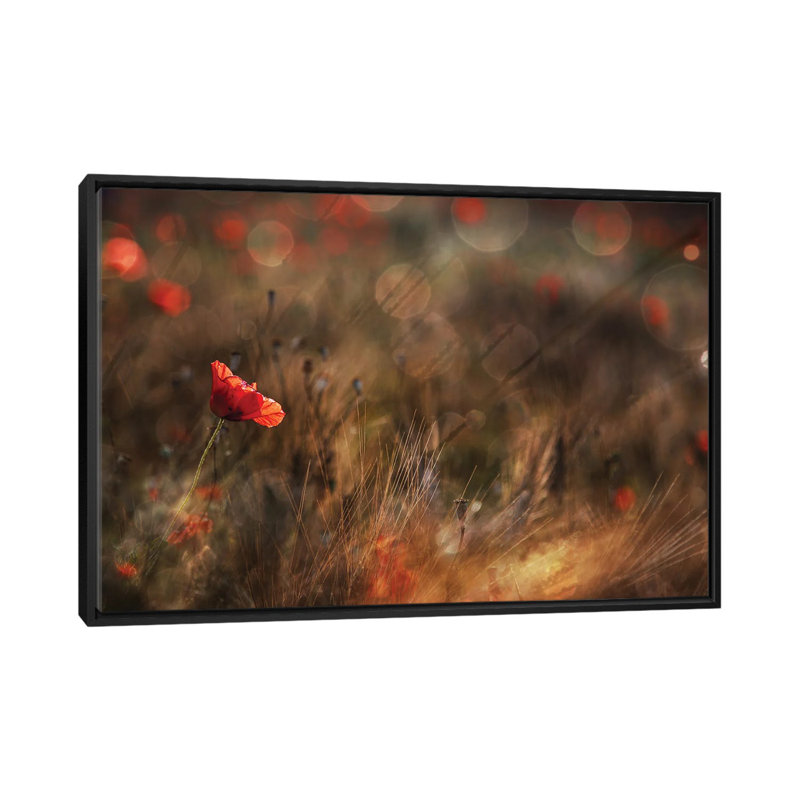 Poppy 1 Piece Single Picture Frame and Floater Frame Wall Art on Canvas