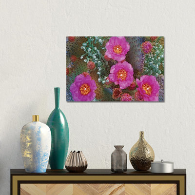 Beavertail Cactus Flowering, Arizona by Tim Fitzharris - Wrapped Canvas Gallery-Wrapped Canvas Giclée