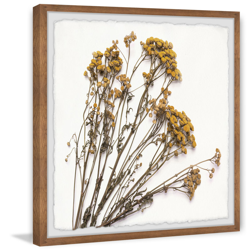 Dried Dandelion - Single Picture Frame Painting, 41 cm H x 41 cm W