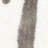 Hempstead Barcelona Shag Hand Tufted Performance Animal Print Rug-17579678