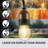 Outdoor 9 - Bulb 25'' Plug-in String Light
