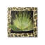 Impression sur toile «Tropical Leaf» par Alonzo Saunders-1802558639-1802558636