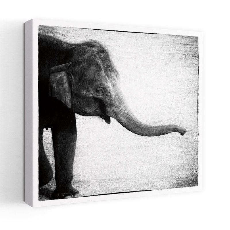 Éléphant II, art contemporain éléphant, H 24 po x l 24 po