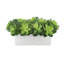 Faux Succulent Ceramic-2144392898