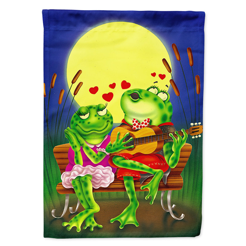 Drapeau de jardin Fentes Frog Love Love, Vert / bleu / jaune