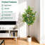 180cm Plant