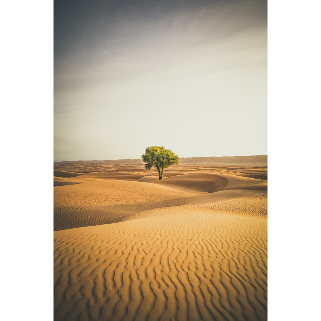 Einsamer Baum in der Wahiba Sands Wüste by 35007 - Drucken