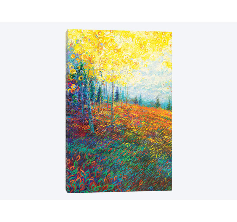 « equilibre » par iris scott, reproduction d’impression sur toile tendue, H 60 po x l 40po x P 1,5 po, Toile tendue