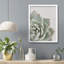 «Cactus Succulent Close Up Echeveria Red Tip White» sur papier-98266468-98266473