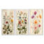 Ensemble de 3 fleurs murales vintage sur fond de ferme rétro "Wildflowers"-129076227-129076231