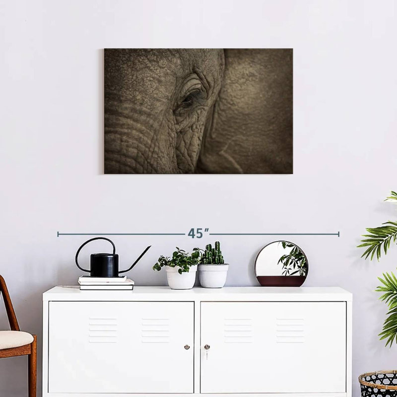 Brampt African Elephant Eye, 20" H x 30" W
