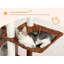 Arbre à chat Cool Cool-592188794