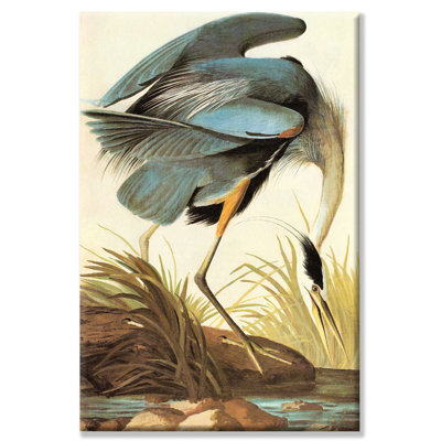 « great blue héron » par john james audubon, reproduction d’art