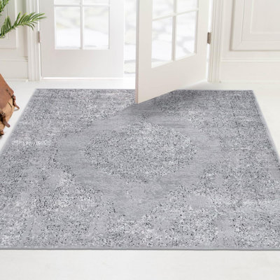 Janousek Oriental Indoor Rug