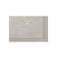 Mahal Oriental Area Rug in Gray/Brown/Beige-71012732