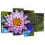 Harnek Heavenly Lotus-108812351