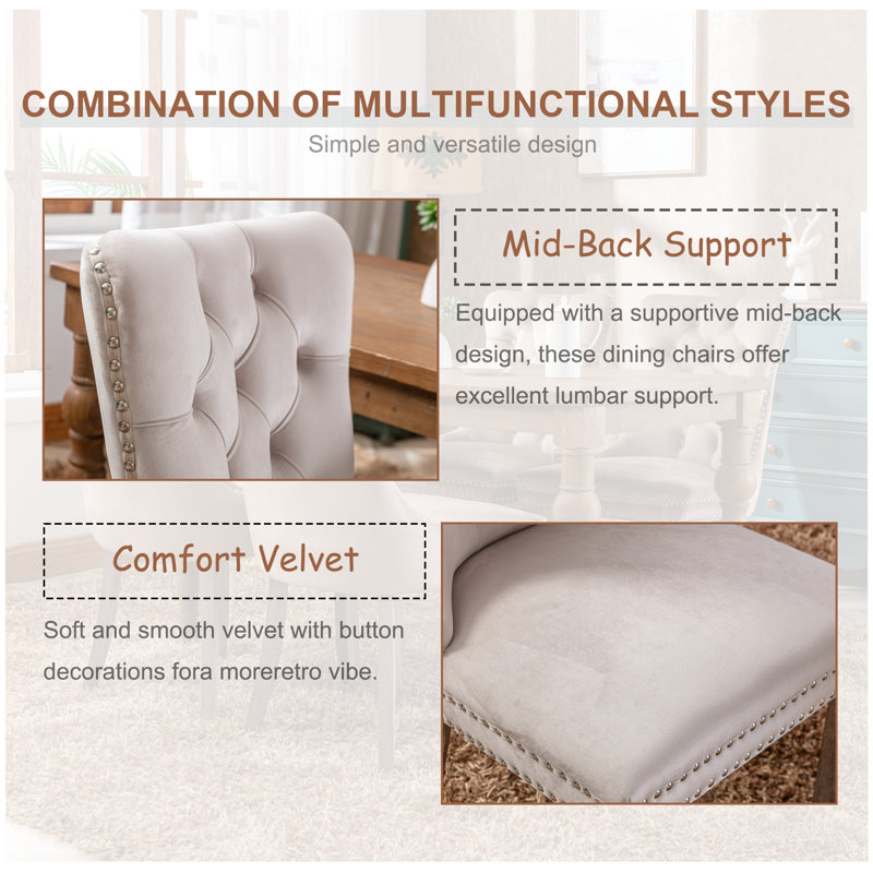 High-end Tufted Velvet Upholstered Nailhead Dining Chair (Set of 4), Beige, Brown