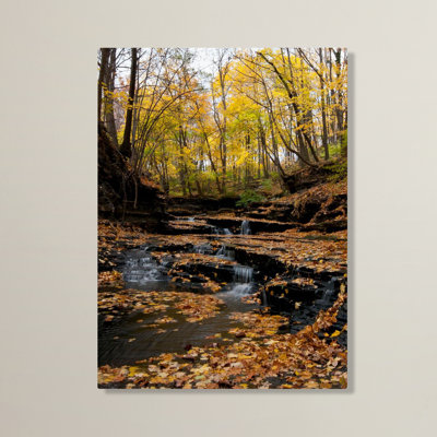 " Lakeview Autumn Falls " by Kurt Shaffer