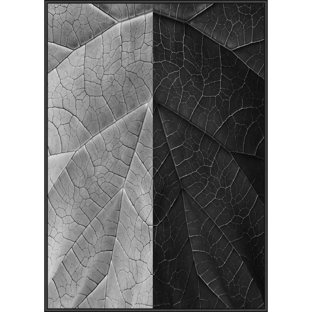 Gerahmtes Poster Leaf Mirror 2, Grafikdruck