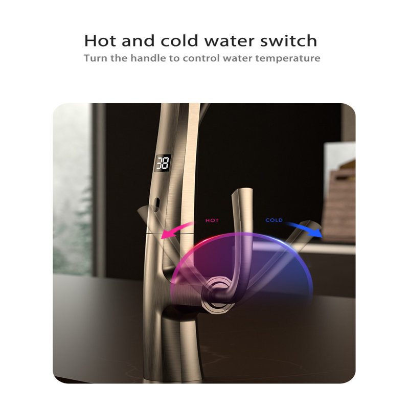Smart Living&Technology Pull Down Kitchen Faucet, Brushed Gold