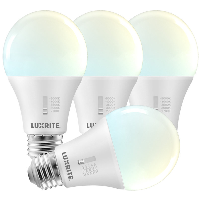 15 Watt E26/Medium (Standard) Dimmable Bulb