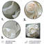 Coquillages monochromes-590417795